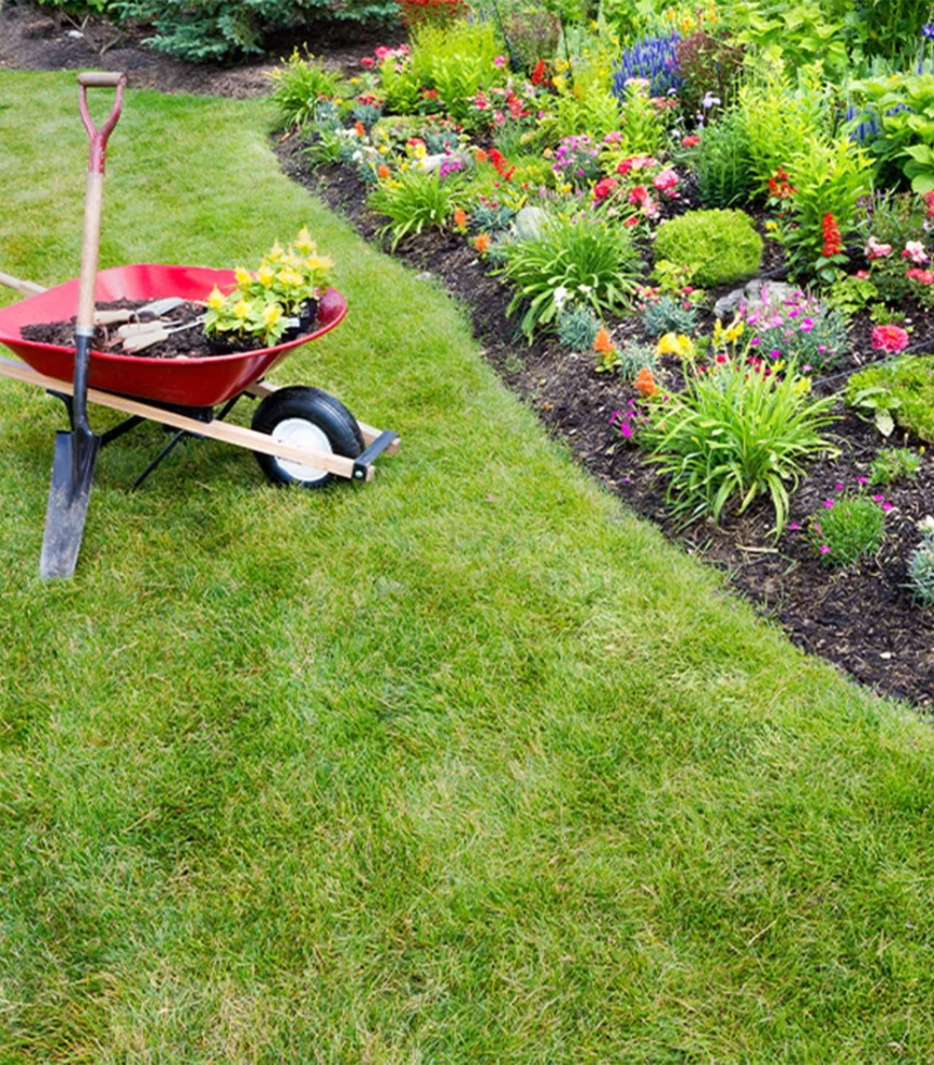 Header-_0161_Spring-Yard-Clean-U