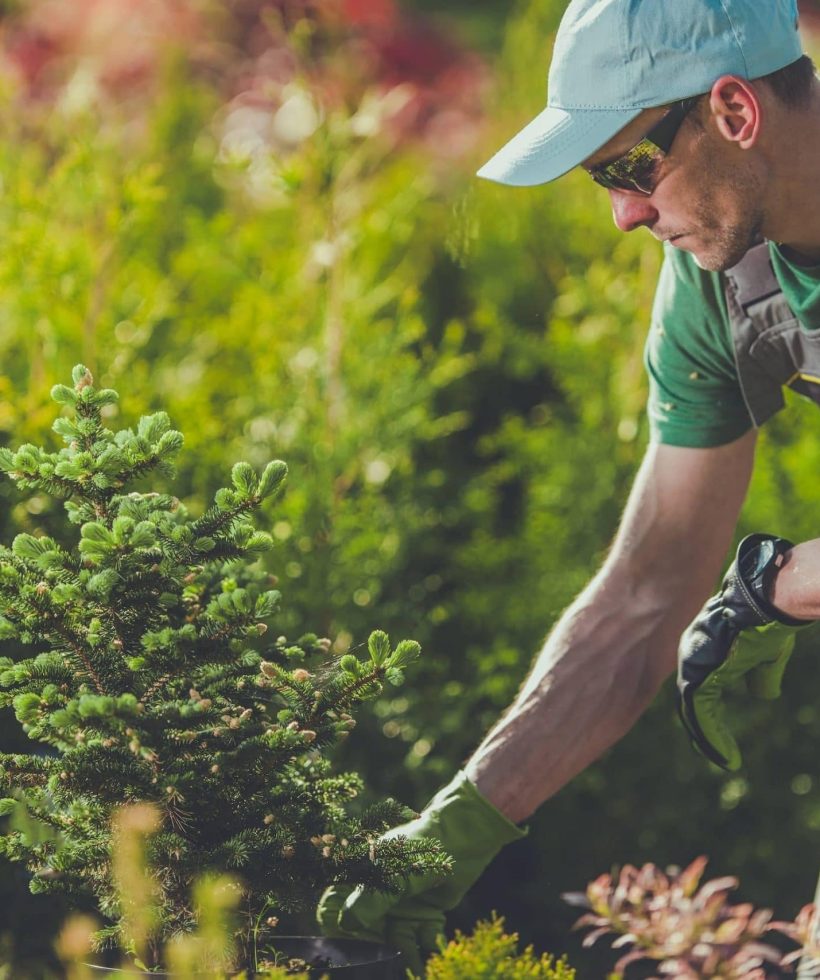 Landscaping-Marketing-Ideas-To-S