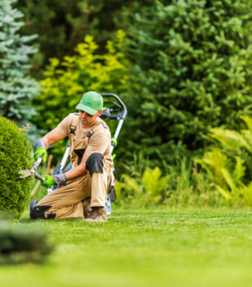 Untitled design (42)