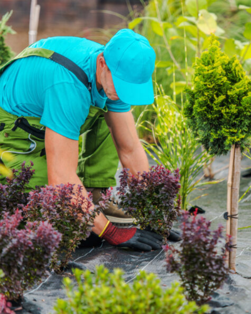 Untitled design (43)